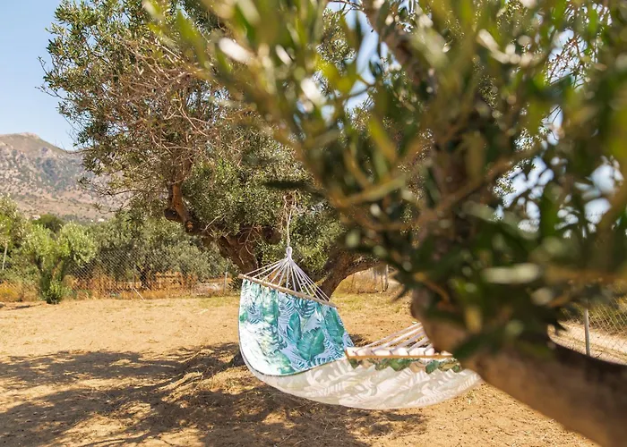 Livas Relaxing In Kardamena Kardamena (Kos)