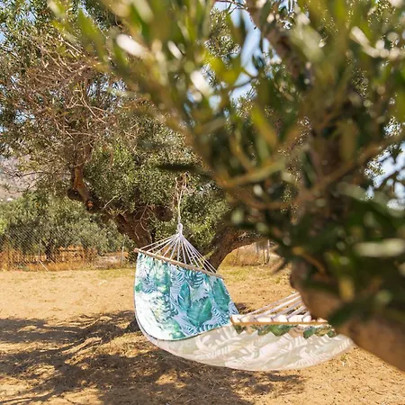 Livas Relaxing In Kardamena Kardamena (Kos)